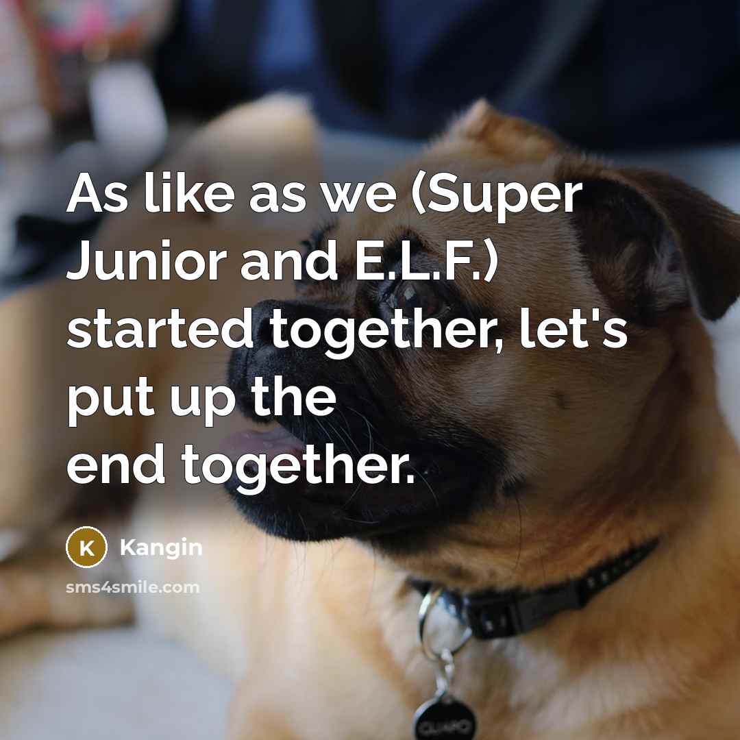 “As like as we (Super Junior and E.L.F.) started together,…” quote by Kangin