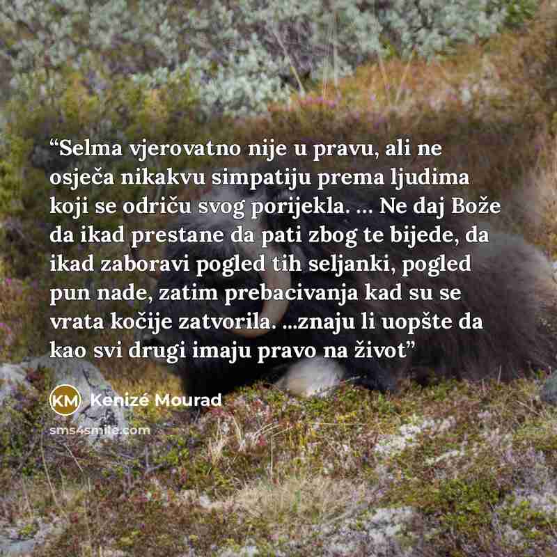 “Selma vjerovatno nije u pravu, ali ne osječa nikakvu simpatiju prema ljudima koji se odriču svog porijekla. … Ne daj Bože da ikad prestane da pati zbog te bijede, da ikad zaboravi pogled tih seljanki, pogled pun nade, zatim prebacivanja kad su se vrata kočije zatvorila. ...znaju li uopšte da kao…” quote by Kenizé Mourad