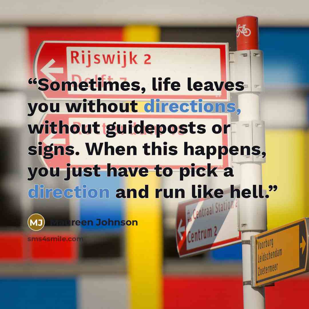 “Sometimes, life leaves you without directions, without guideposts or signs. When this happens, you just have to pick a direction and run like hell.” quote by Maureen Johnson