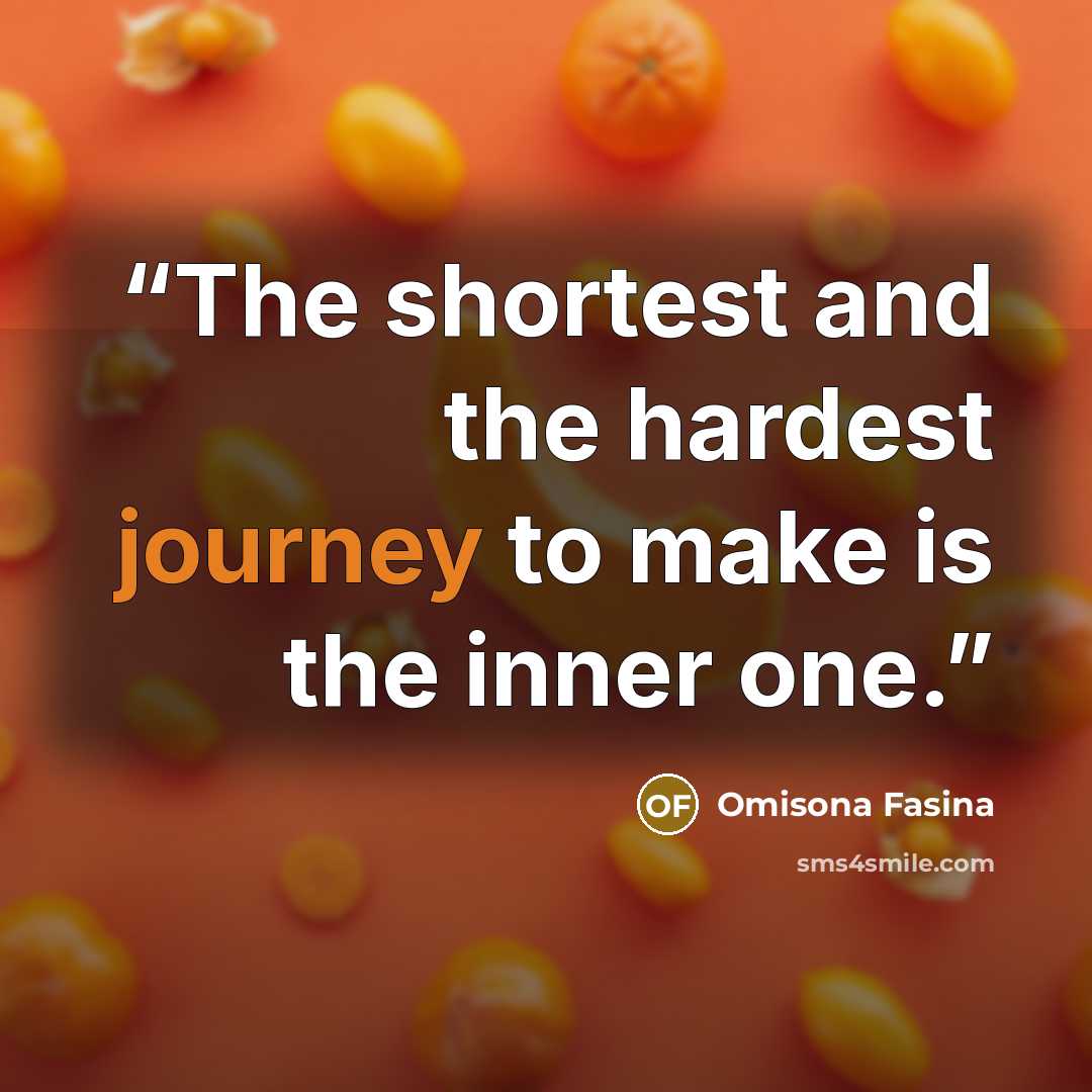 “The shortest and the hardest journey to make is the inner one.” quote by Omisona Fasina