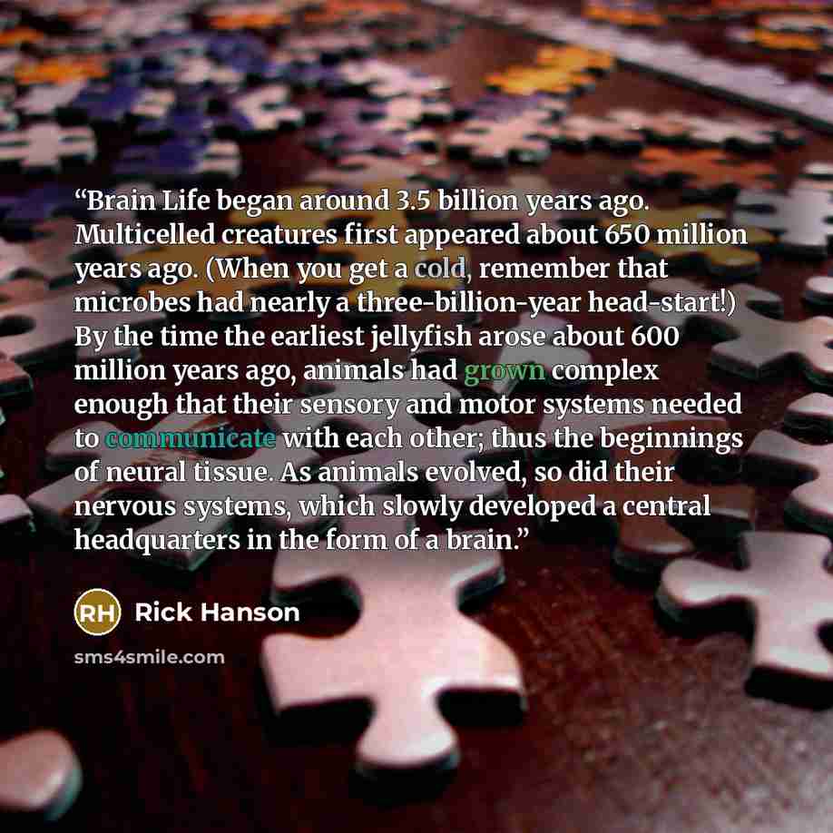 “Brain Life began around 3.5 billion years ago. Multicelled creatures first appeared about 650 million years ago. (When you get a cold, remember that microbes had nearly a three-billion-year head-start!) By the time the earliest jellyfish arose about 600 million years ago, animals had grown complex…” quote by Rick Hanson