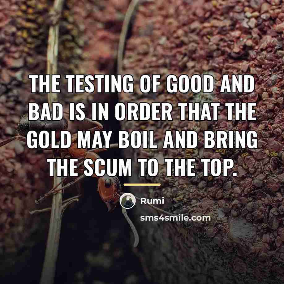 “The testing of good and bad is in order that…” quote by Rumi