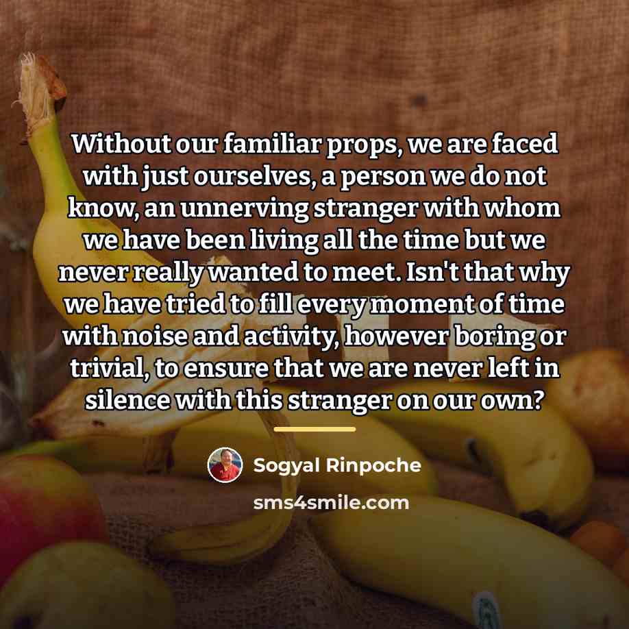 “Without our familiar props, we are faced with just ourselves,…” quote by Sogyal Rinpoche