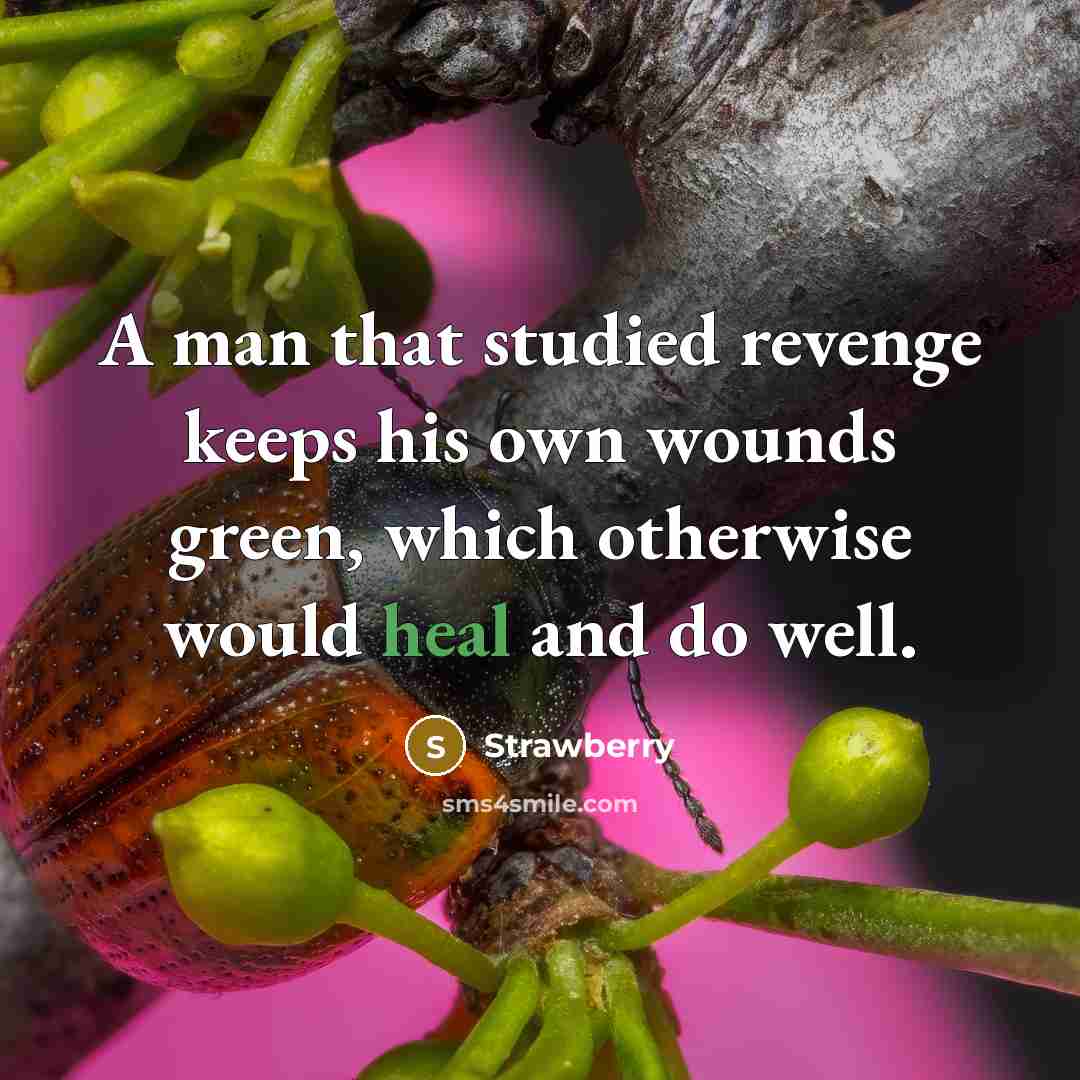 “A man that studied revenge keeps his own wounds green,…” quote by Strawberry