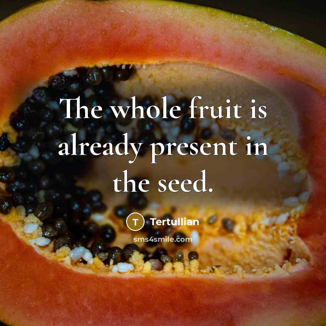 “The whole fruit is already present in the seed.” quote by Tertullian