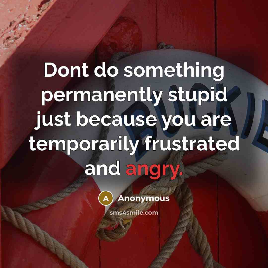 “Dont do something permanently stupid just because you are temporarily frustrated and angry.” quote by Anonymous