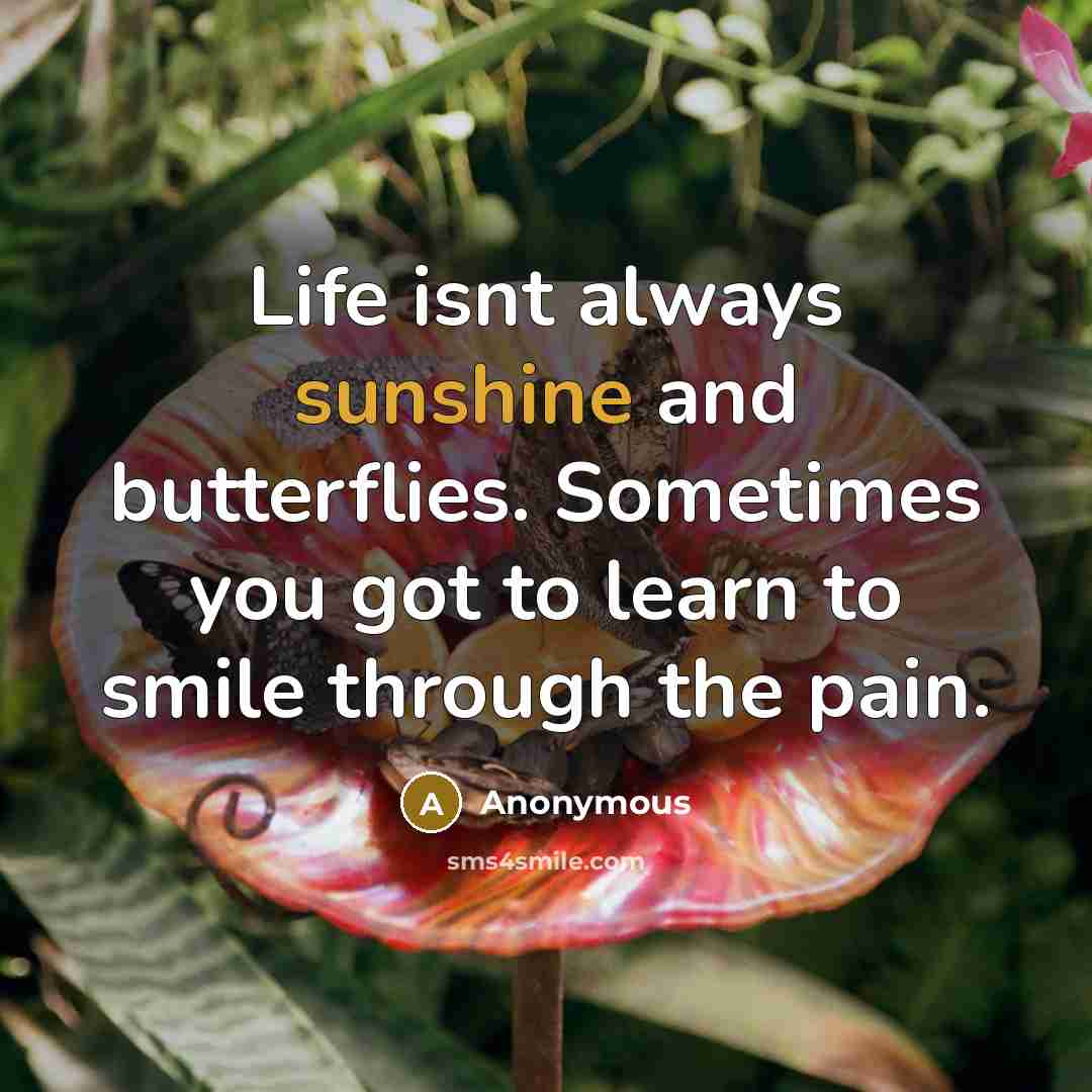 “Life isnt always sunshine and butterflies. Sometimes you got to…” quote by Anonymous
