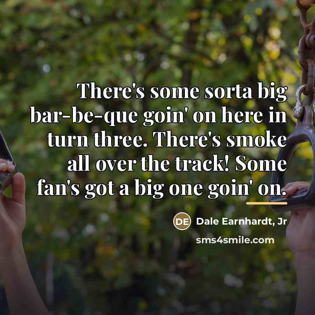 “There's some sorta big bar-be-que goin' on here in turn…” quote by Dale Earnhardt, Jr