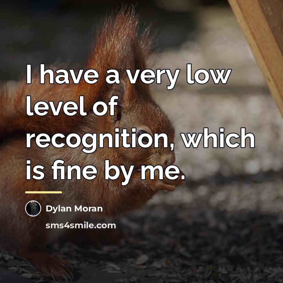 “I have a very low level of recognition, which is…” quote by Dylan Moran