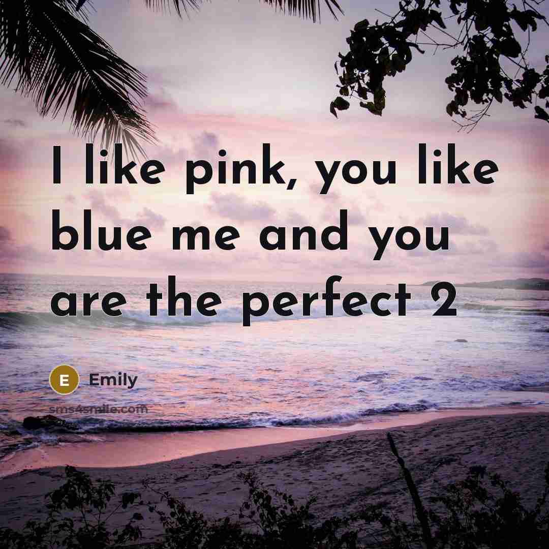 “I like pink, you like blue me and you are…” quote by Emily