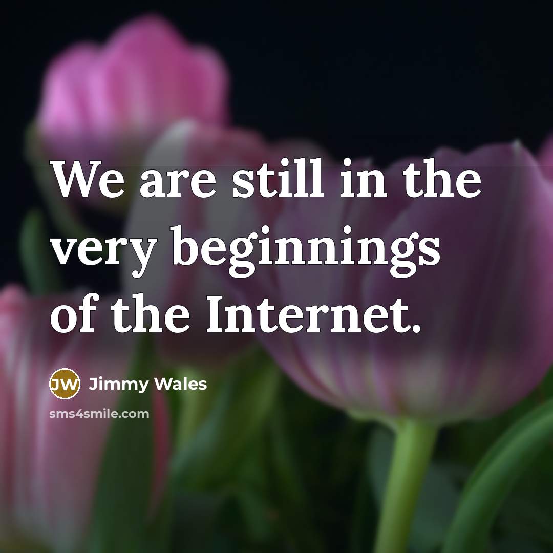 “We are still in the very beginnings of the Internet.…” quote by Jimmy Wales