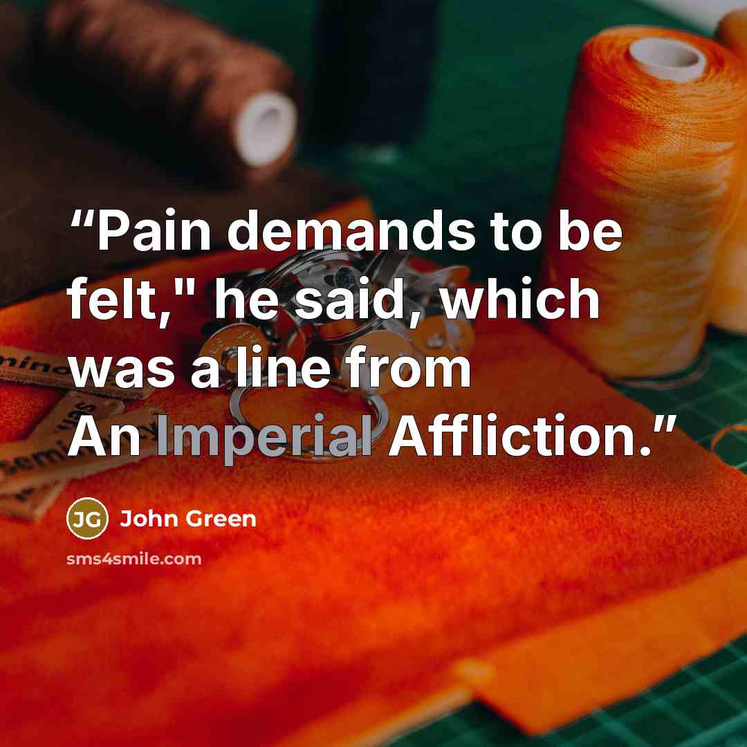 “Pain demands to be felt," he said, which was a line from An Imperial Affliction.” quote by John Green