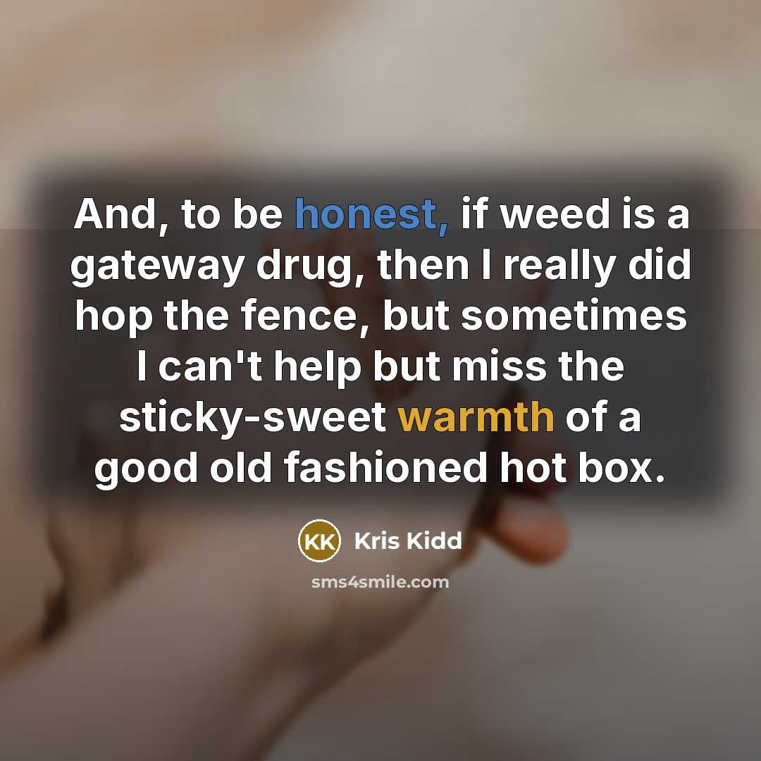 “And, to be honest, if weed is a gateway drug,…” quote by Kris Kidd