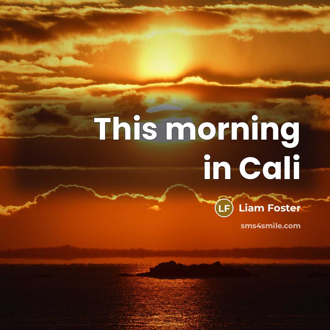 “This morning in Cali…” quote by Liam Foster