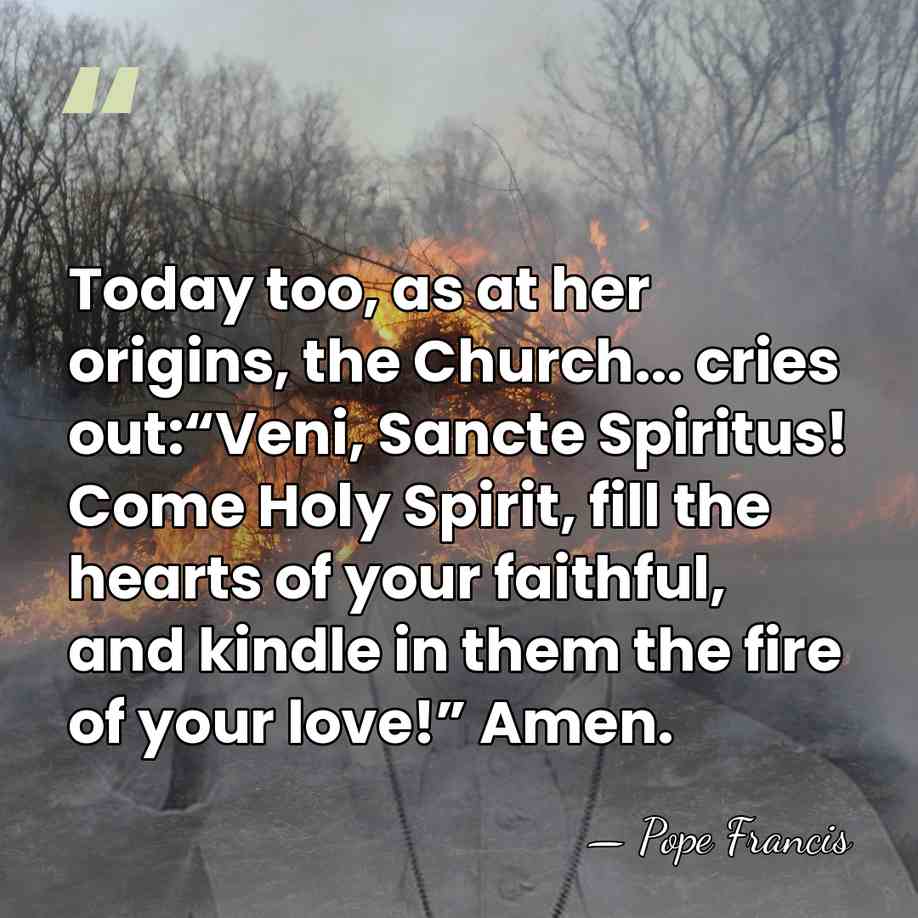Today too, as at her origins, the Church... cries out:“Veni, Sancte Spiritus!&hellip; - Pope Francis