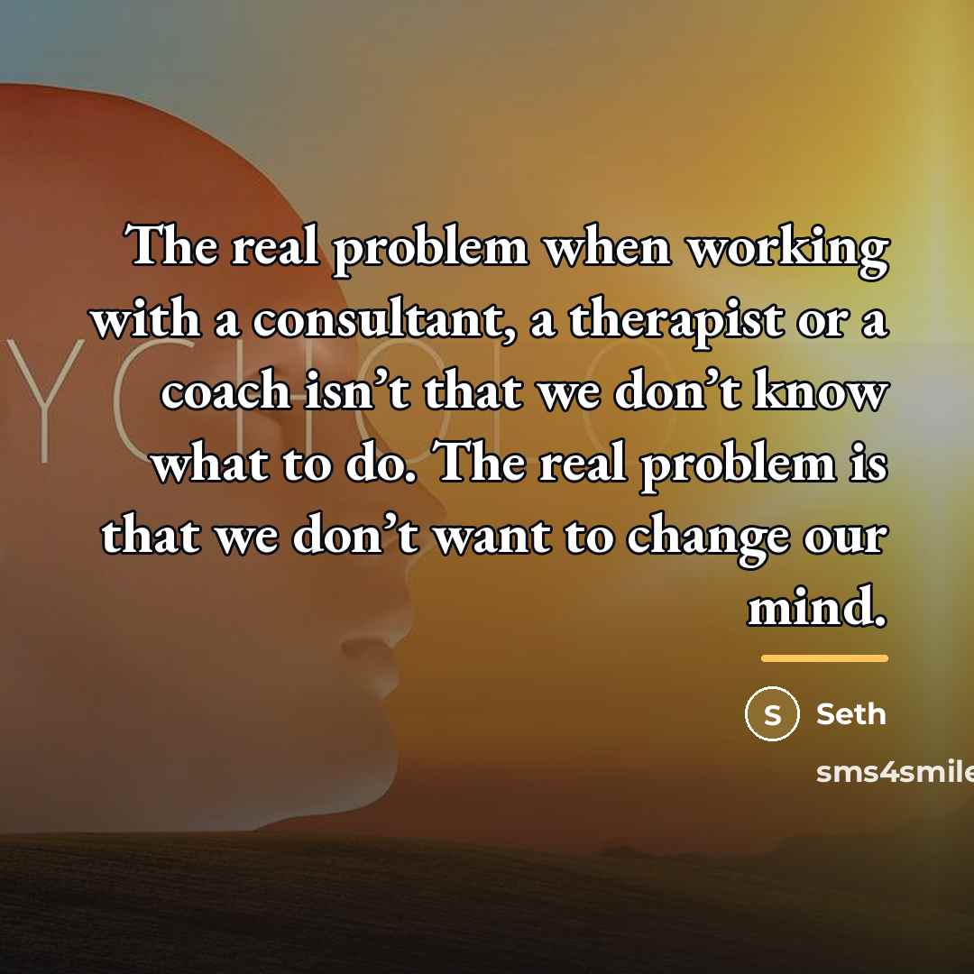 “The real problem when working with a consultant, a therapist…” quote by Seth