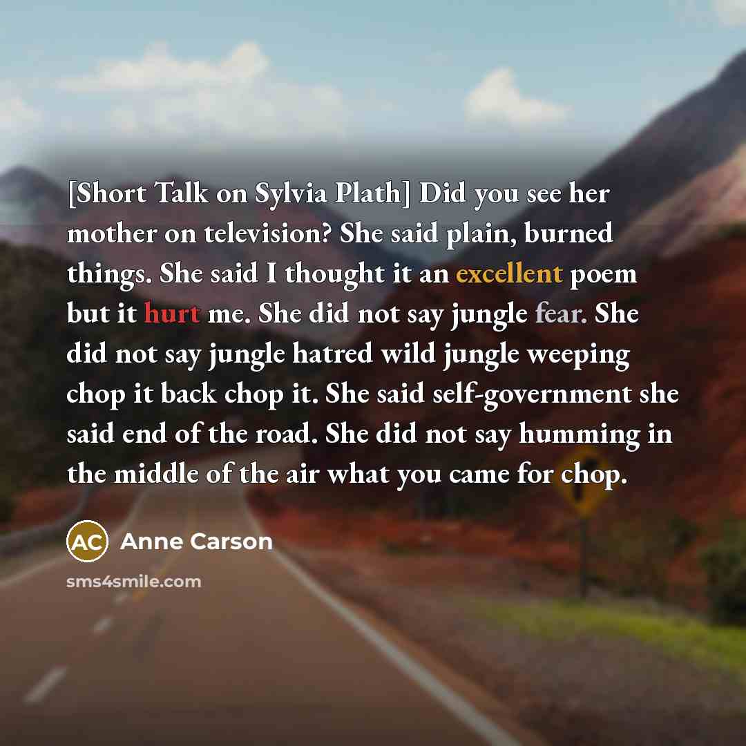 “[Short Talk on Sylvia Plath] Did you see her mother…” quote by Anne Carson