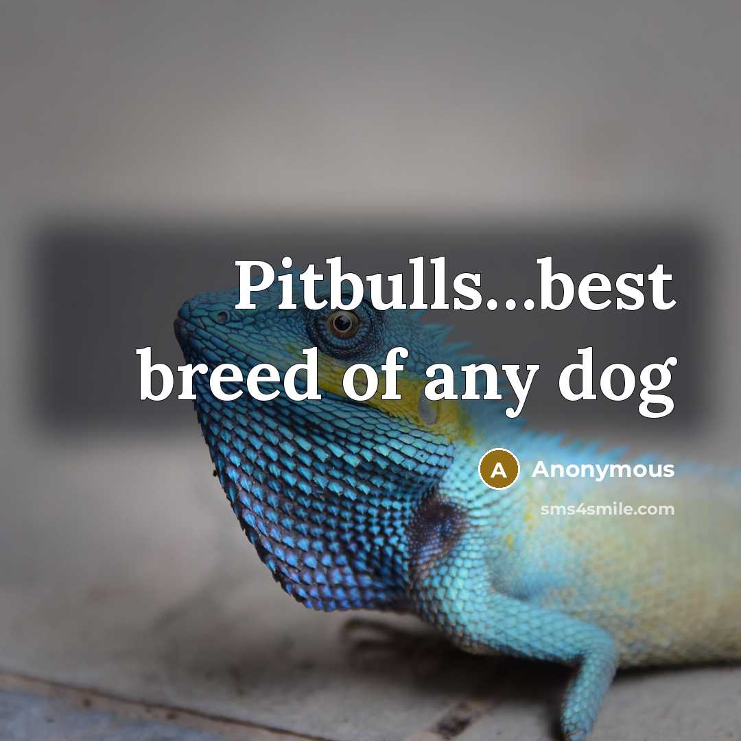 “Pitbulls…best breed of any dog” quote by Anonymous