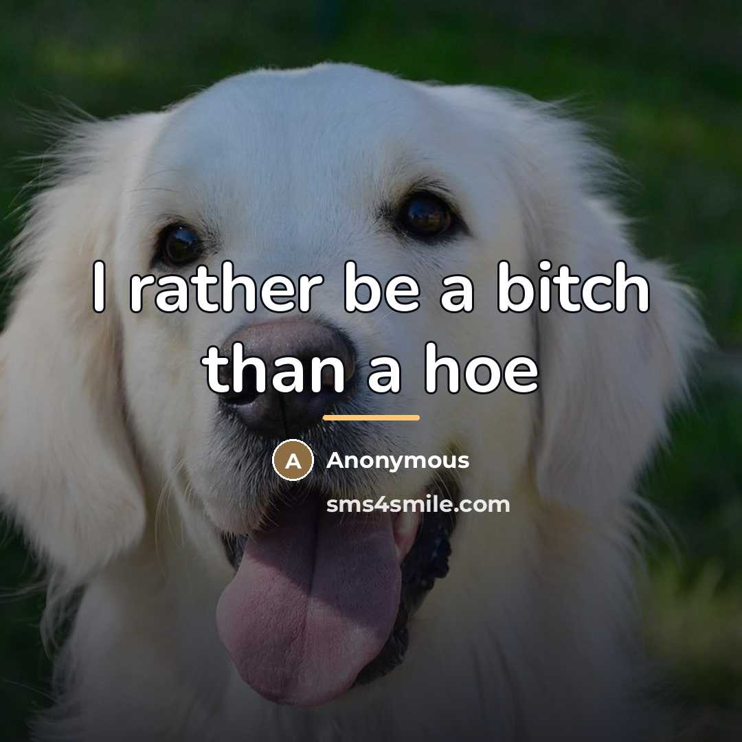 “I rather be a bitch than a hoe…” quote by Anonymous