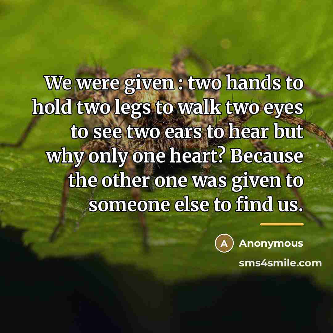 “We were given : two hands to hold two legs…” quote by Anonymous