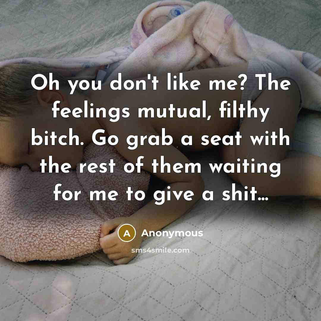 “Oh you don't like me? The feelings mutual, filthy bitch. Go grab a seat with the rest of them waiting for me to give a shit...” quote by Anonymous