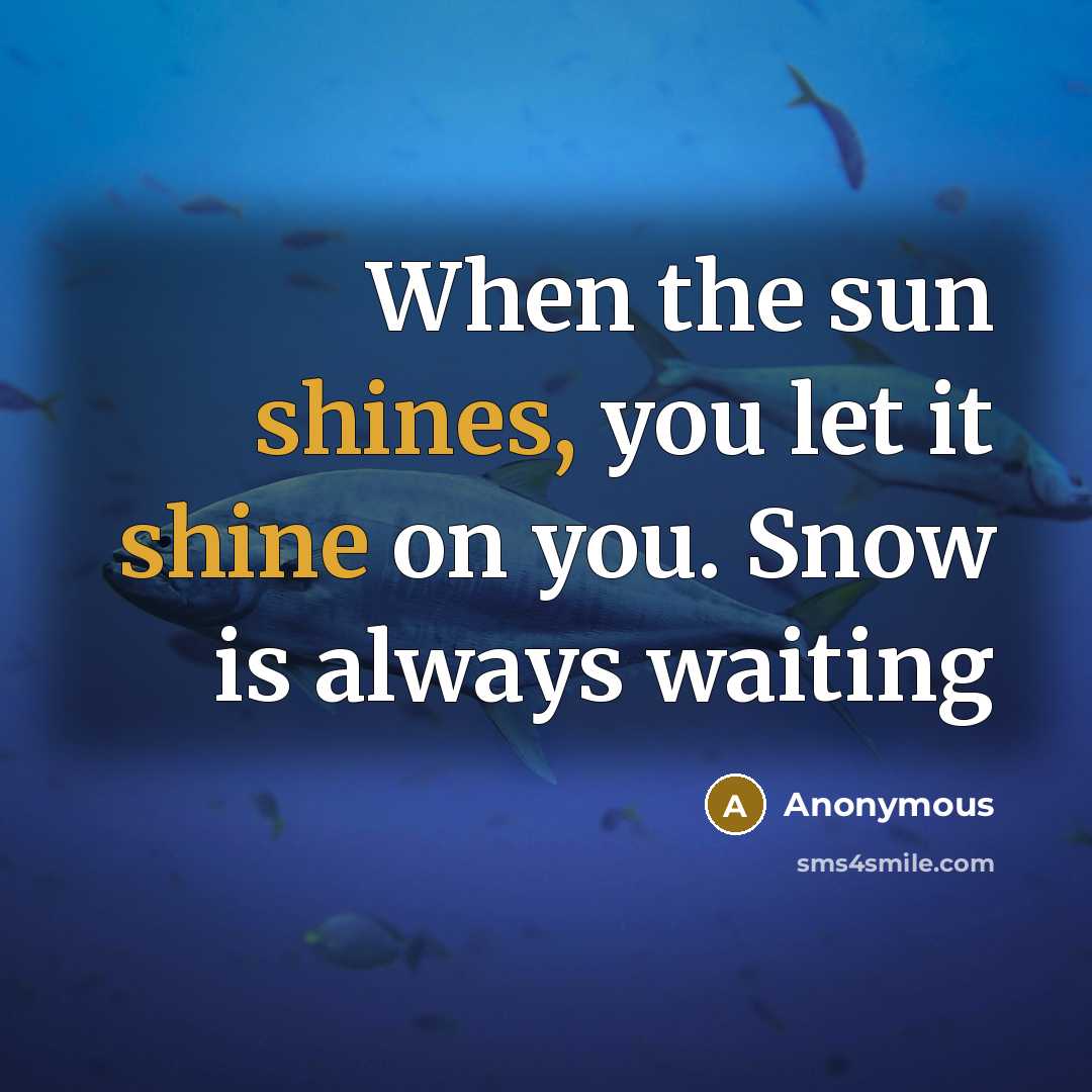 “When the sun shines, you let it shine on you. Snow is always waiting” quote by Anonymous