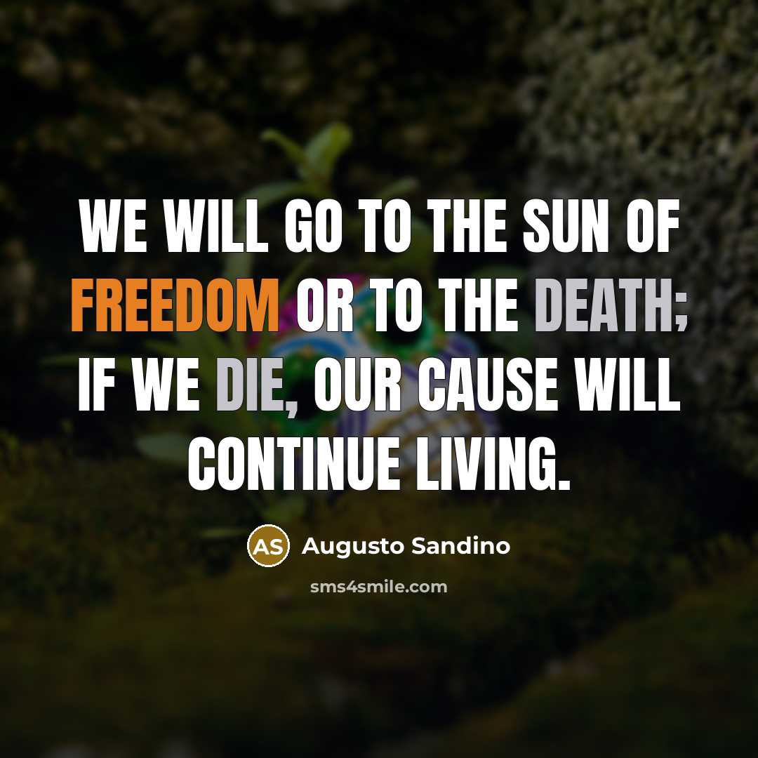 “We will go to the sun of freedom or to the death; if we die, our cause will continue living.” quote by Augusto Sandino