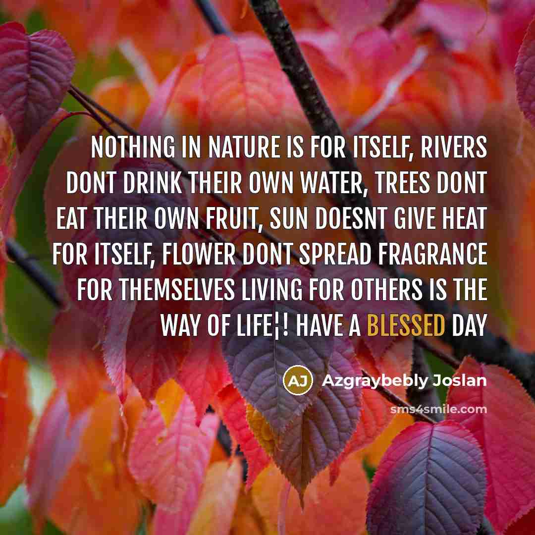 “Nothing in nature is for itself, Rivers dont drink their…” quote by Azgraybebly Joslan