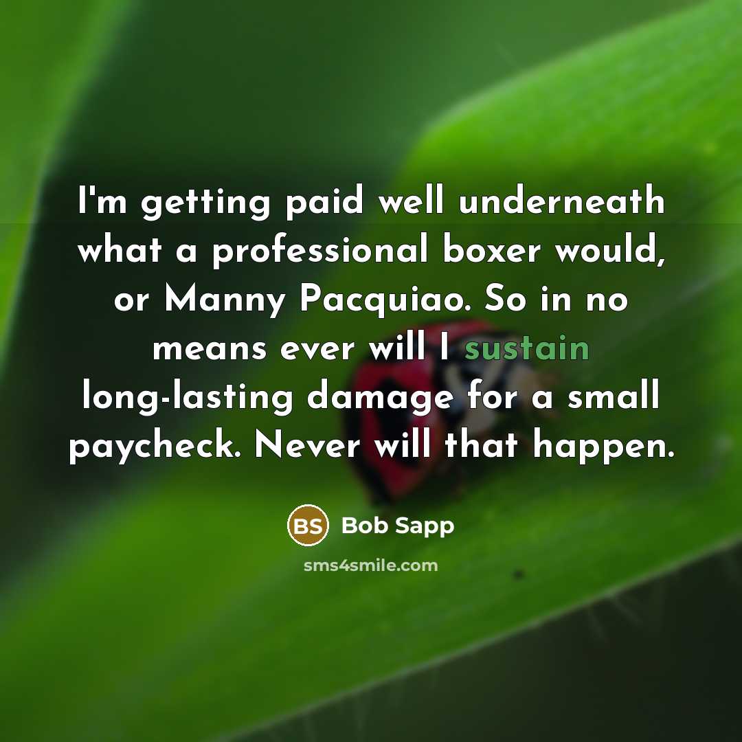 “I'm getting paid well underneath what a professional boxer would,…” quote by Bob Sapp
