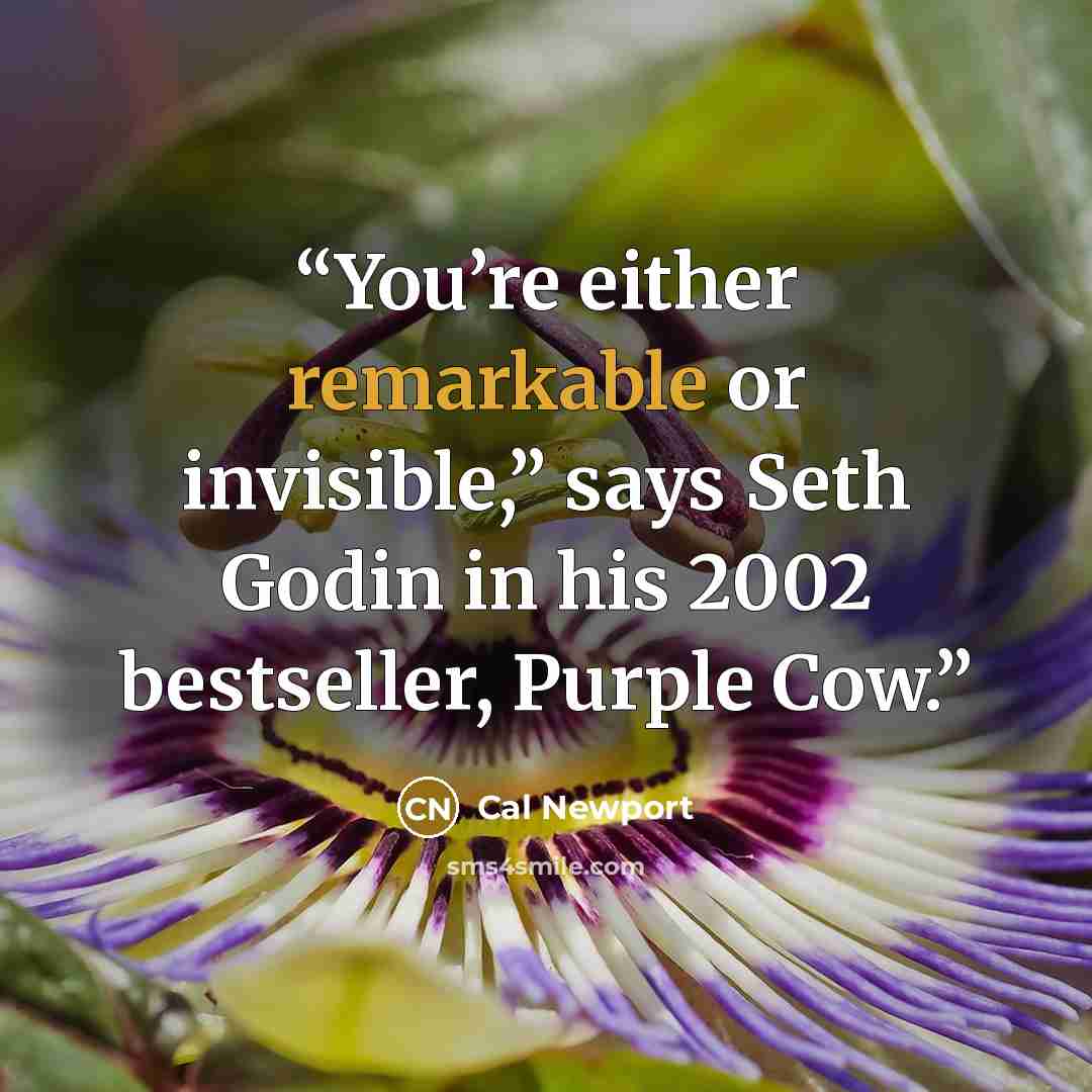 “You’re either remarkable or invisible,” says Seth Godin in his 2002 bestseller, Purple Cow.” quote by Cal Newport