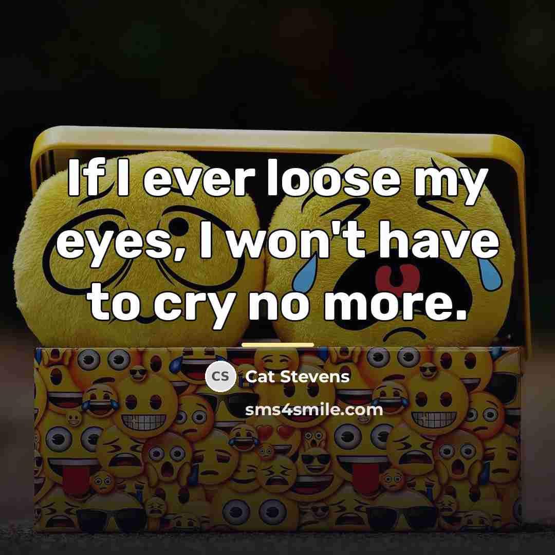 “If I ever loose my eyes, I won't have to…” quote by Cat Stevens