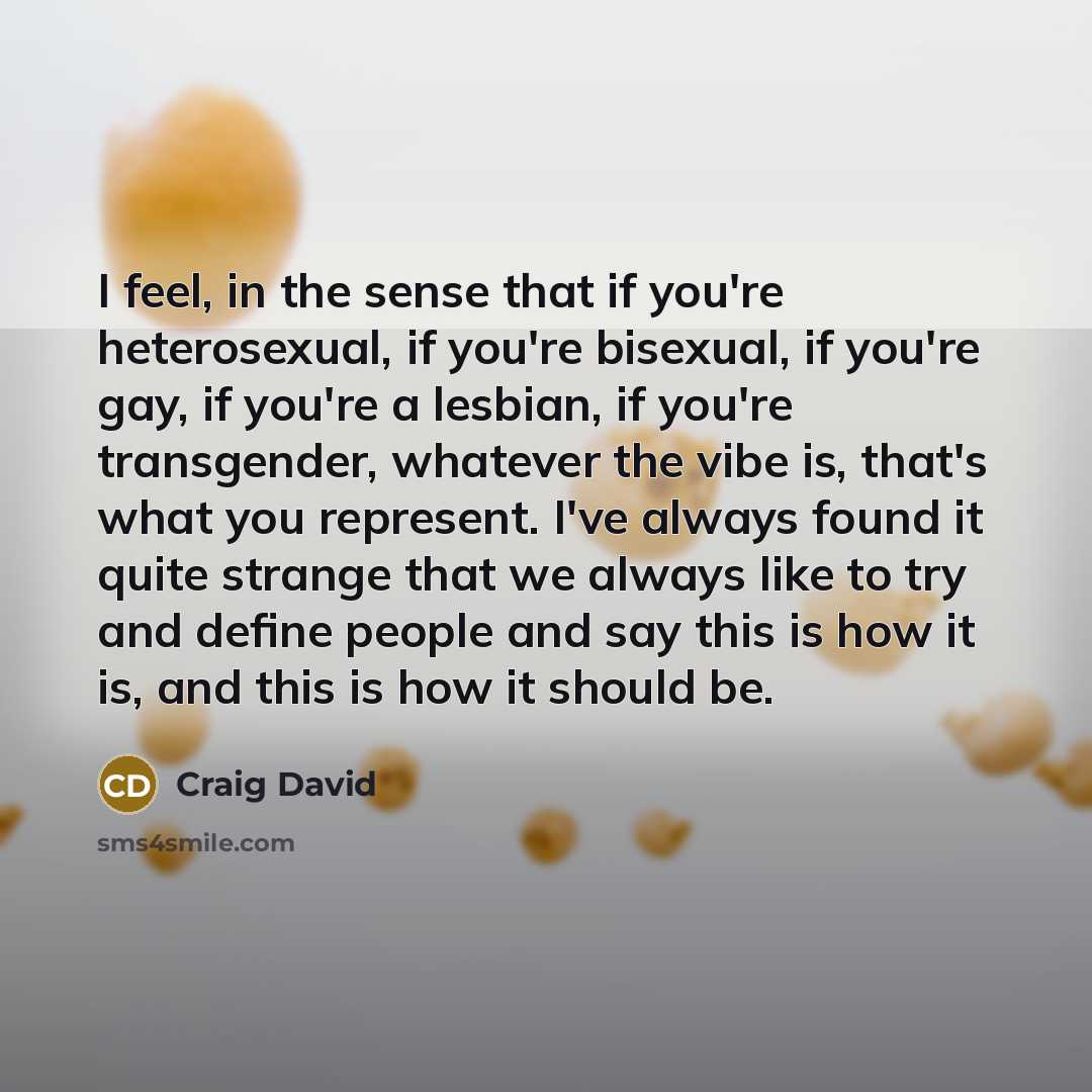 “I feel, in the sense that if you're heterosexual, if…” quote by Craig David