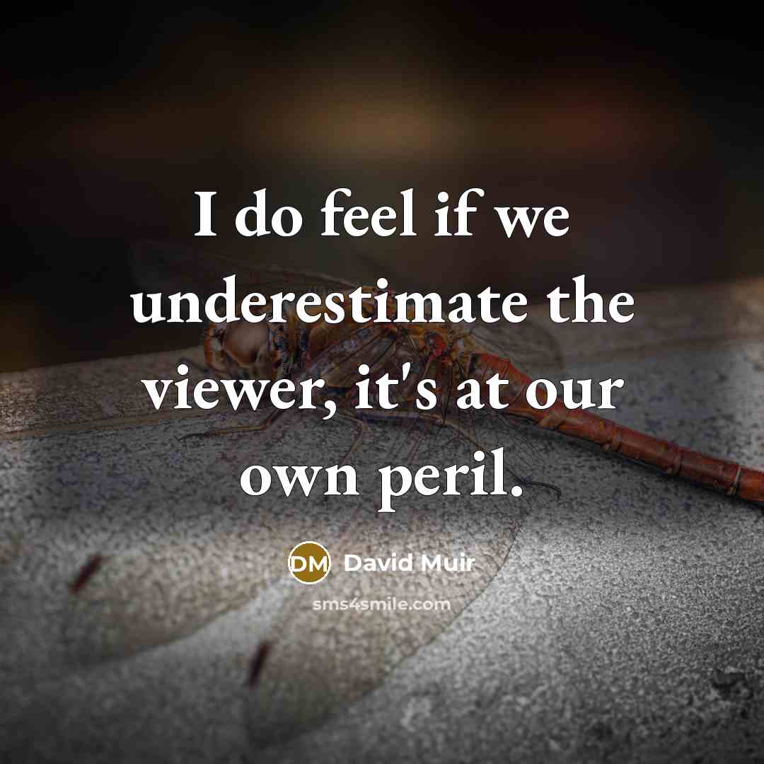 “I do feel if we underestimate the viewer, it's at…” quote by David Muir