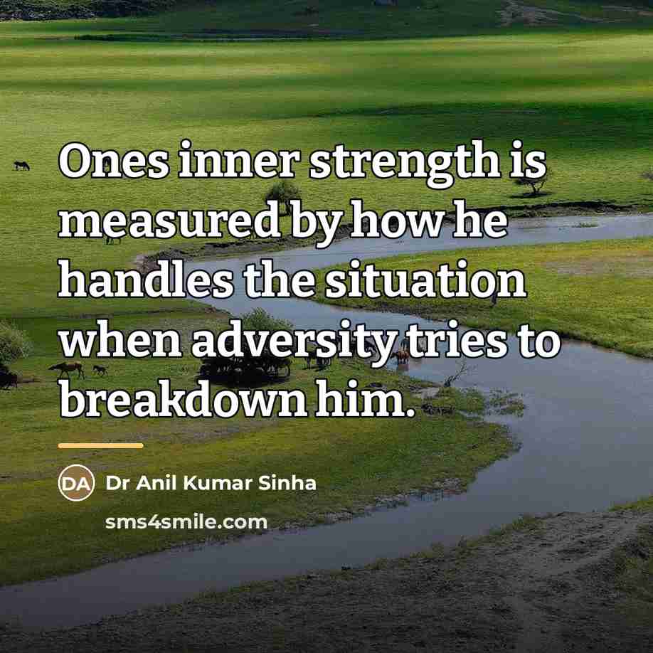 “Ones inner strength is measured by how he handles the…” quote by Dr Anil Kumar Sinha