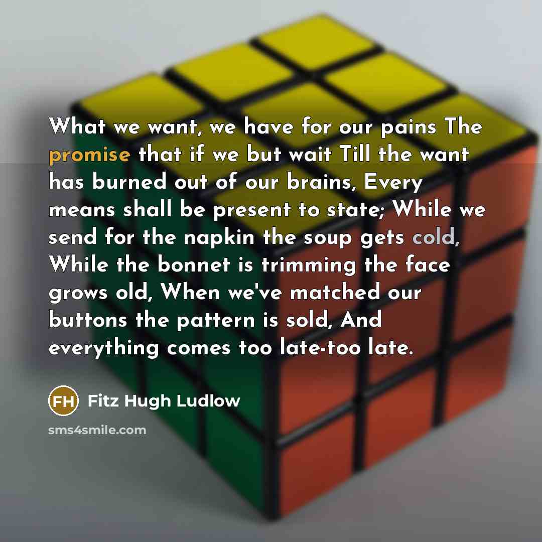 “What we want, we have for our pains The promise…” quote by Fitz Hugh Ludlow
