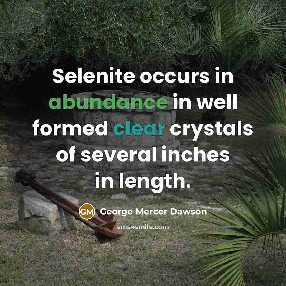 “Selenite occurs in abundance in well formed clear crystals of…” quote by George Mercer Dawson