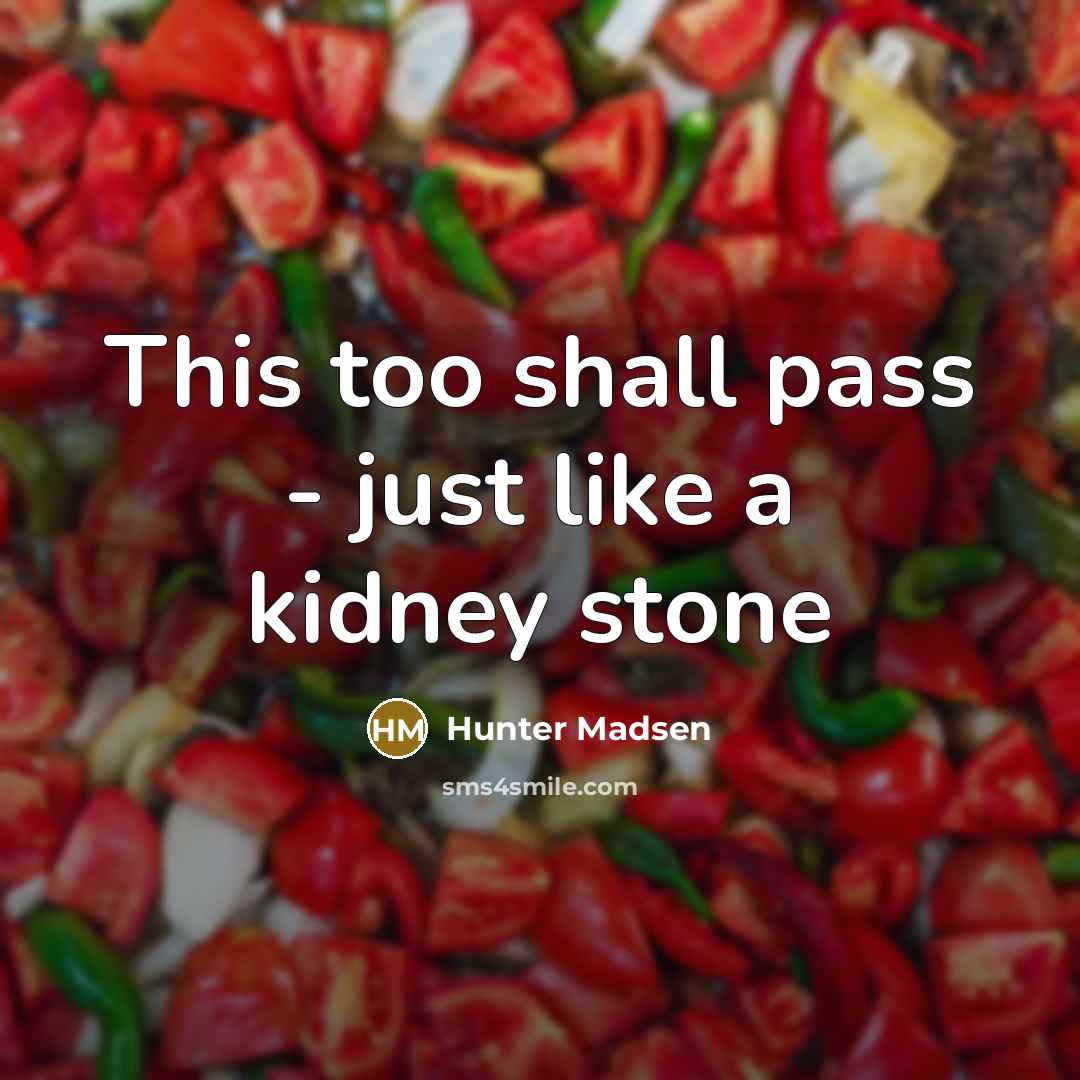 “This too shall pass - just like a kidney stone” quote by Hunter Madsen
