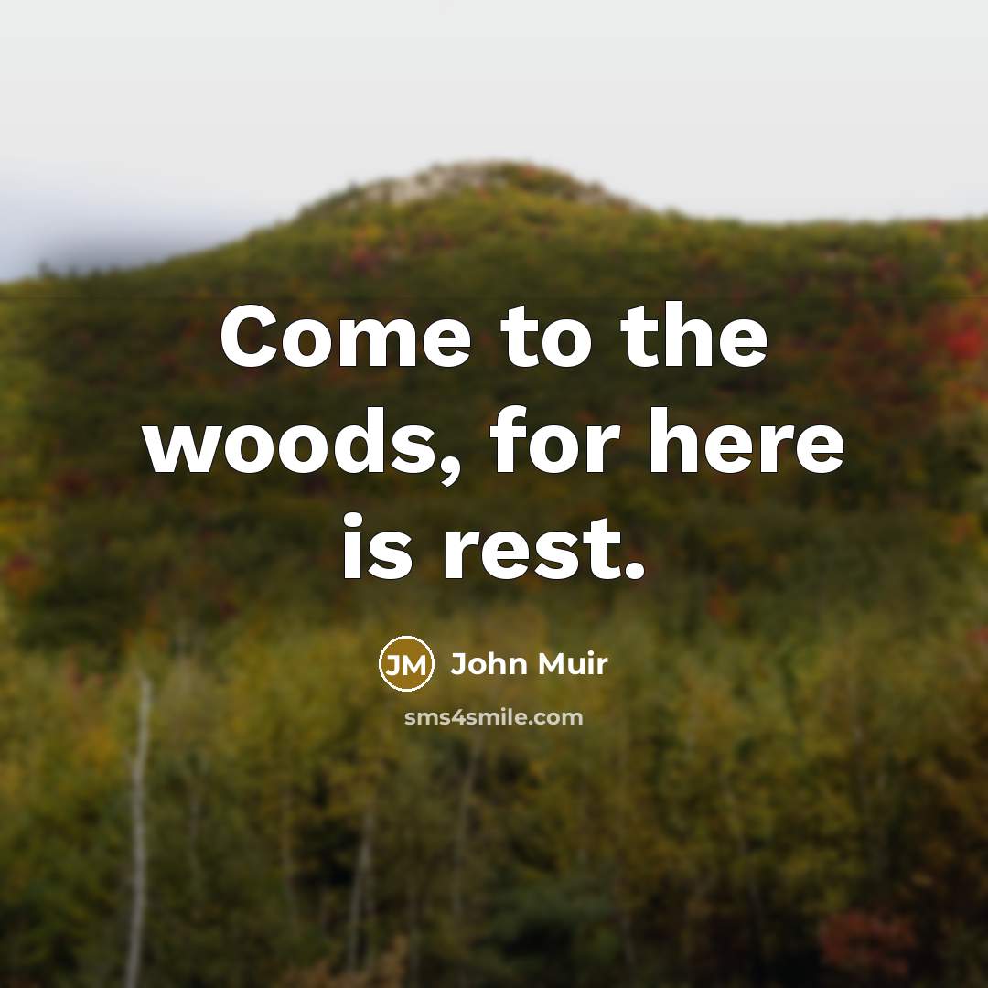“Come to the woods, for here is rest.…” quote by John Muir