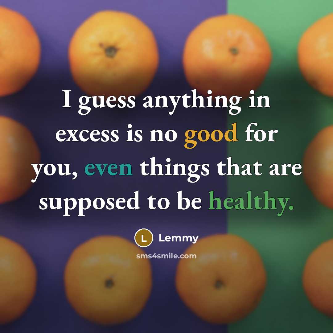 “I guess anything in excess is no good for you,…” quote by Lemmy
