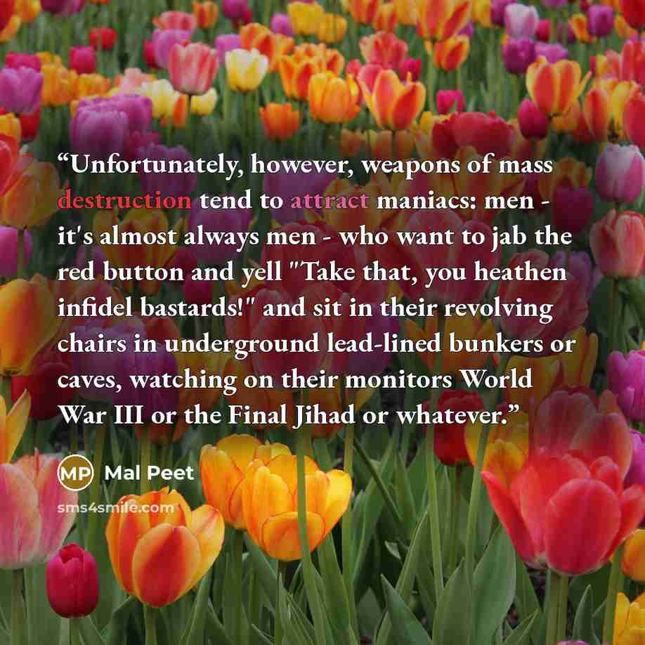 “Unfortunately, however, weapons of mass destruction tend to attract maniacs: men - it's almost always men - who want to jab the red button and yell "Take that, you heathen infidel bastards!" and sit in their revolving chairs in underground lead-lined bunkers or caves, watching on their monitors…” quote by Mal Peet