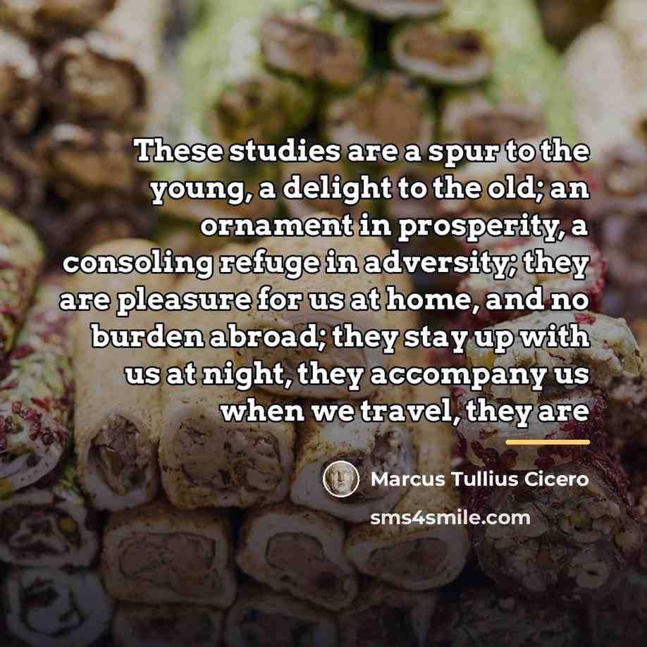 “These studies are a spur to the young, a delight…” quote by Marcus Tullius Cicero