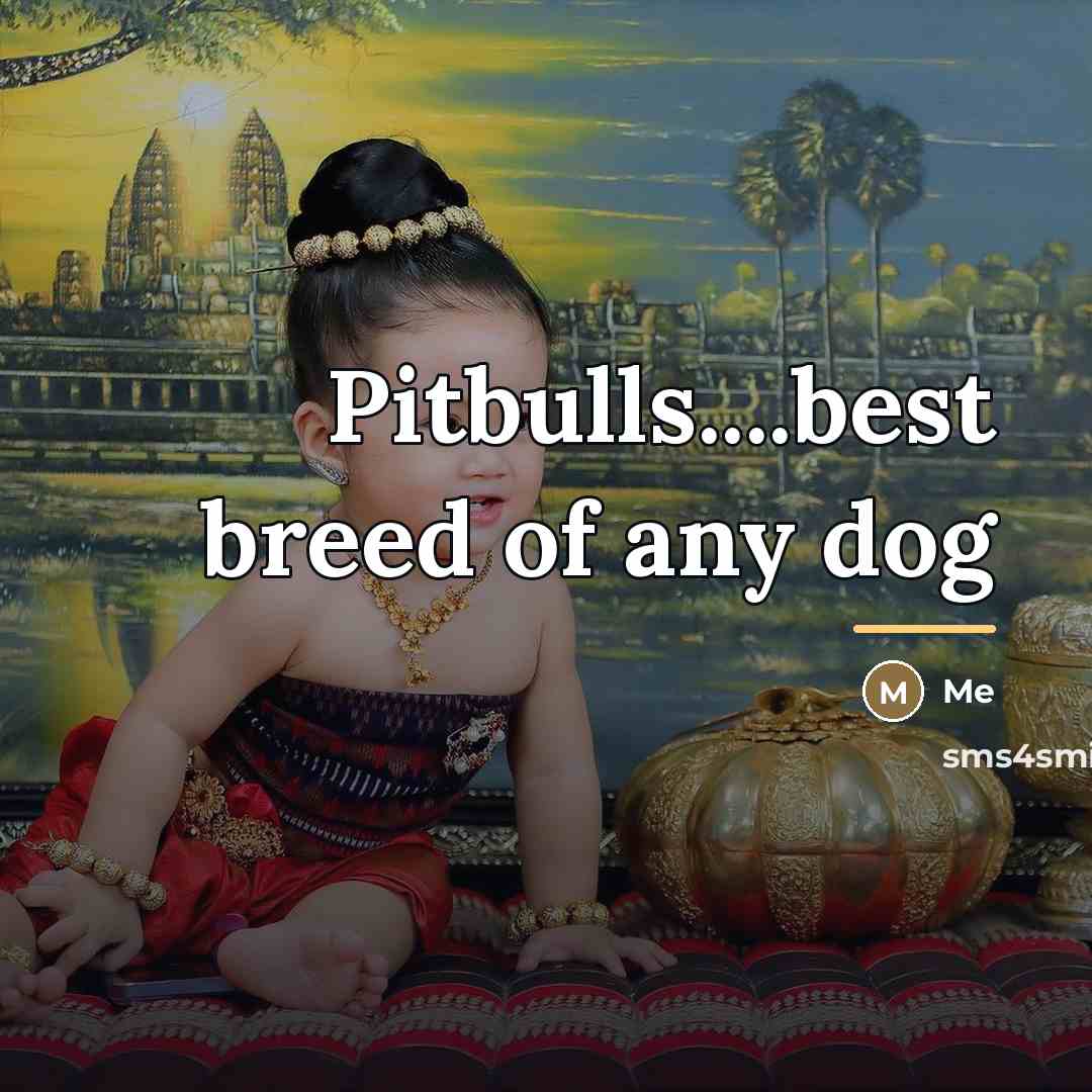 “Pitbulls....best breed of any dog…” quote by Me