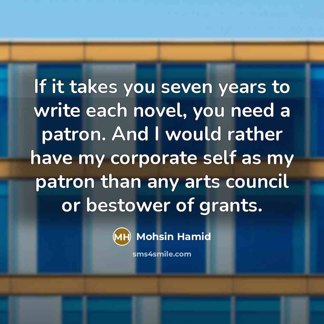 “If it takes you seven years to write each novel,…” quote by Mohsin Hamid