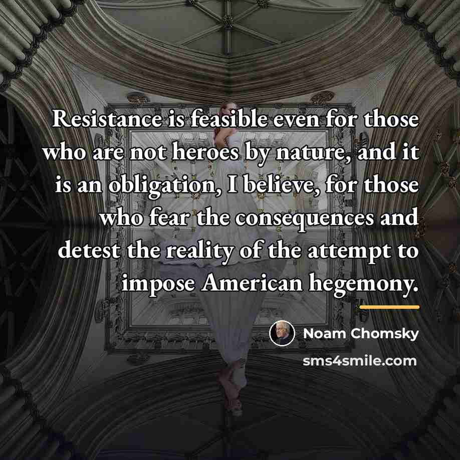 “Resistance is feasible even for those who are not heroes…” quote by Noam Chomsky