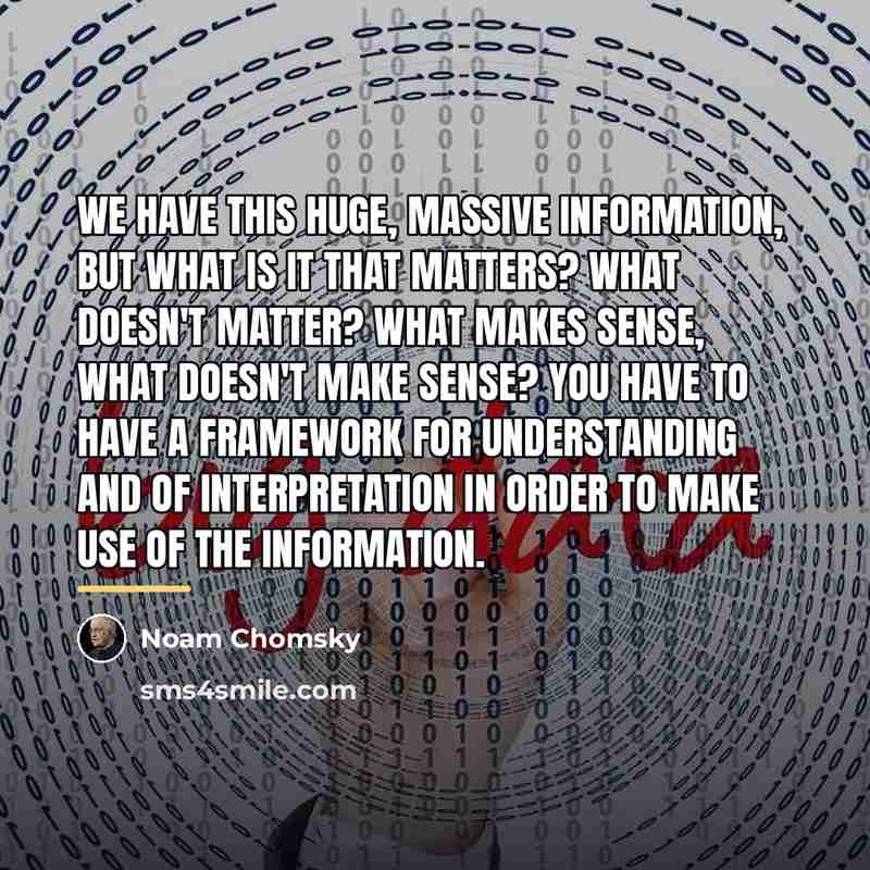 “We have this huge, massive information, but what is it…” quote by Noam Chomsky