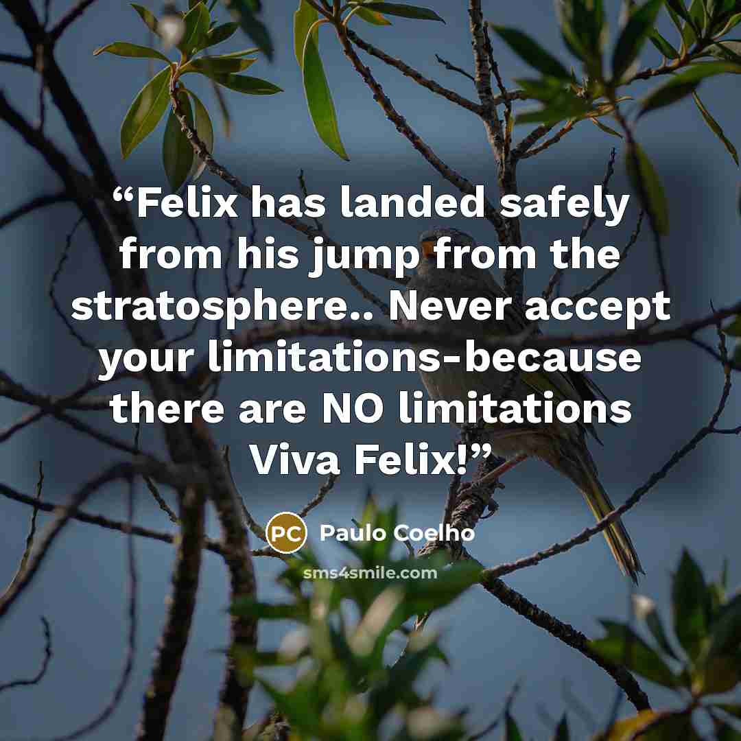 “Felix has landed safely from his jump from the stratosphere.. Never accept your limitations-because there are NO limitations Viva Felix!” quote by Paulo Coelho
