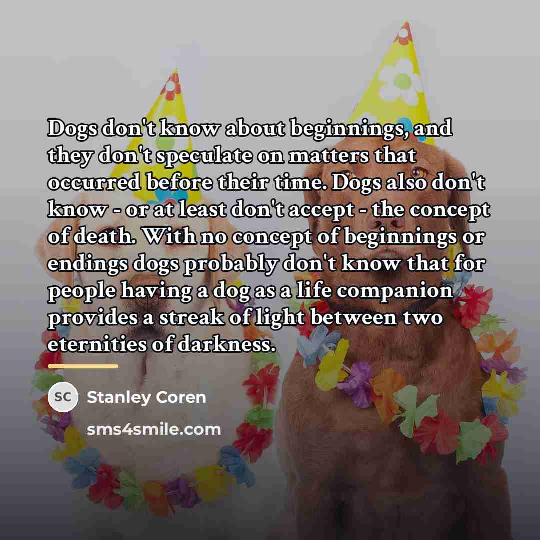 “Dogs don't know about beginnings, and they don't speculate on…” quote by Stanley Coren