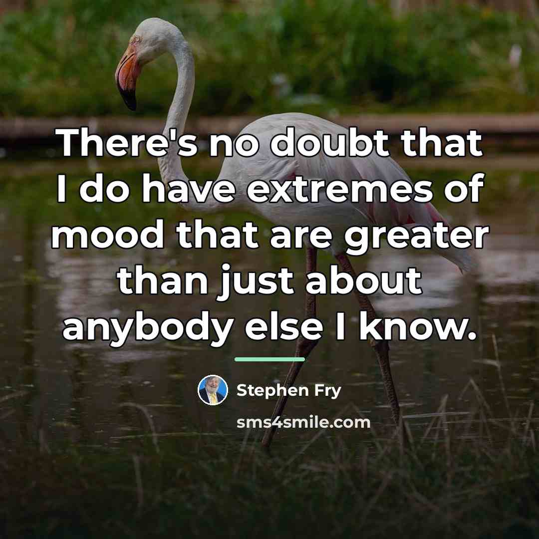 “There's no doubt that I do have extremes of mood…” quote by Stephen Fry