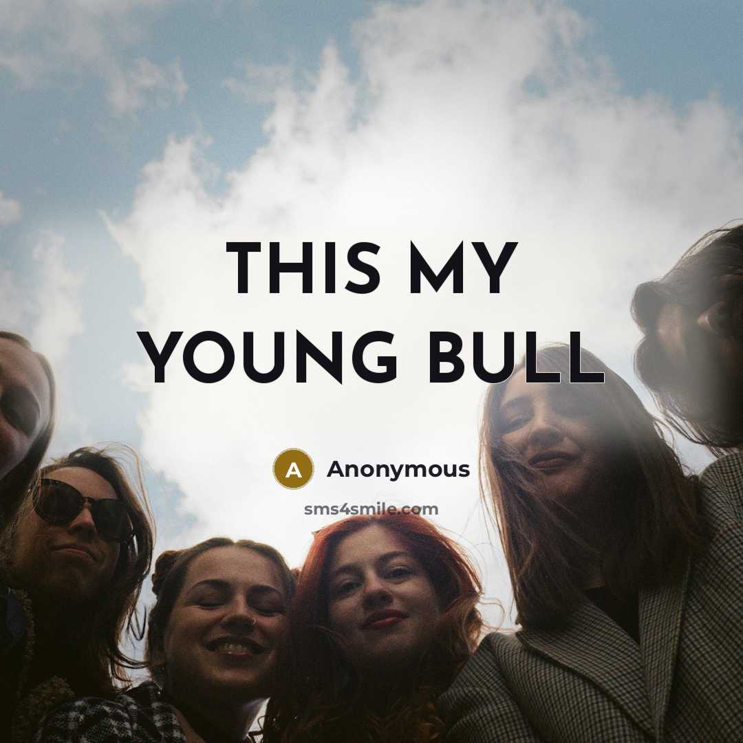 “THIS MY YOUNG BULL” quote by Anonymous