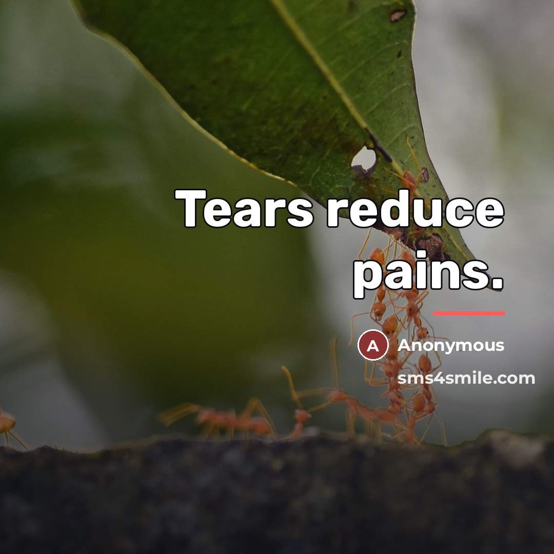 “Tears reduce pains.…” quote by Anonymous